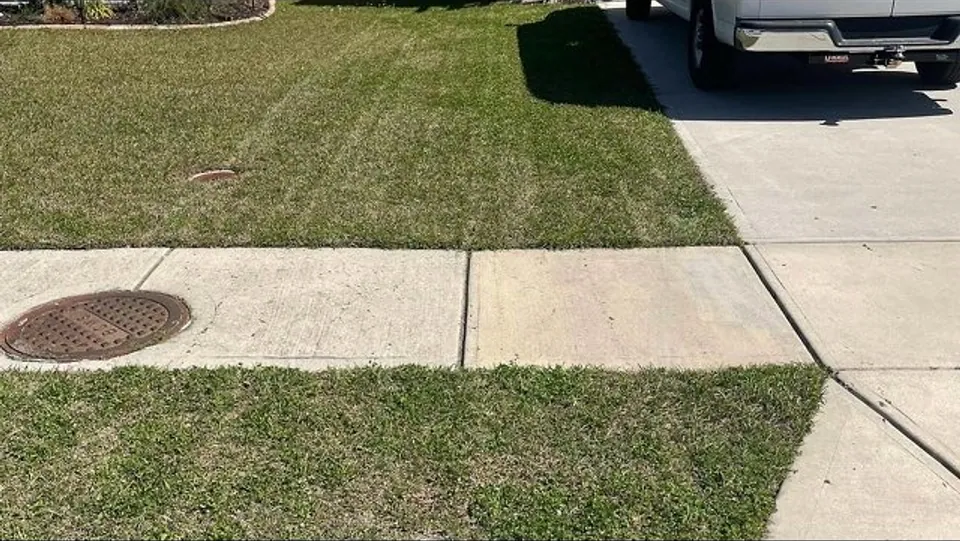 Front lawn mowed and edged where it meets the sidewalk and driveway