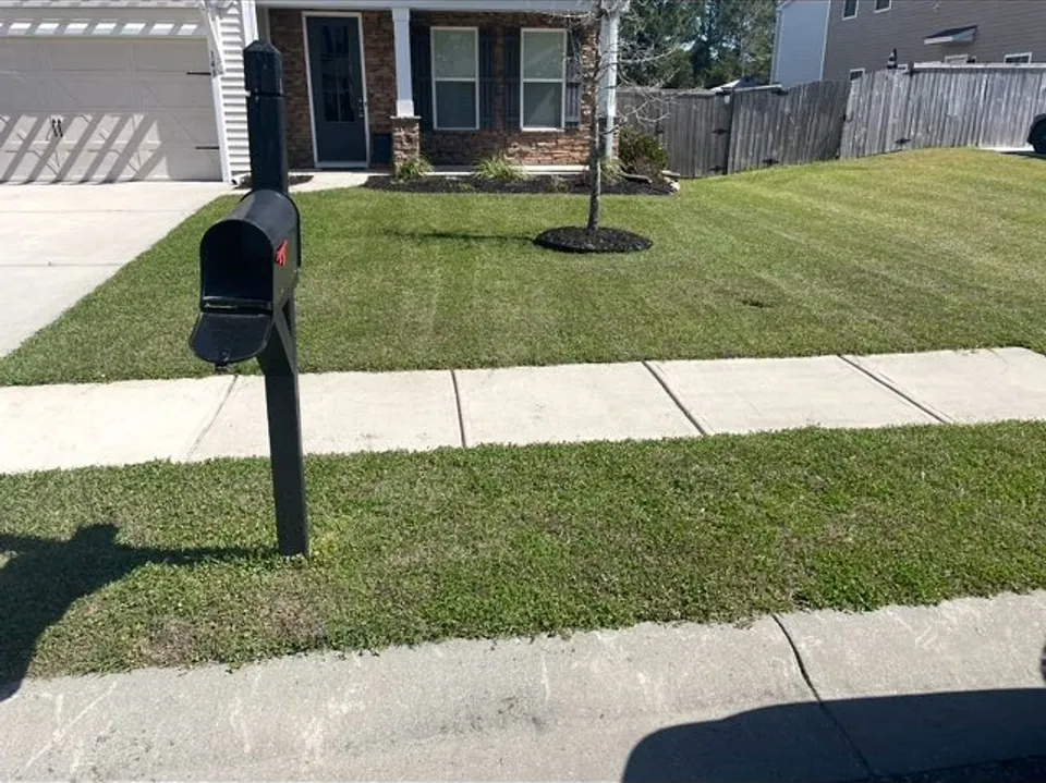 Front yard with a black mailbox, freshly mowed lawn and a clean sidewalk strip