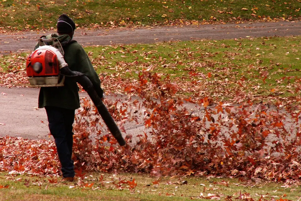 Worker with a backpack blower clearing fall leaves off a lawn